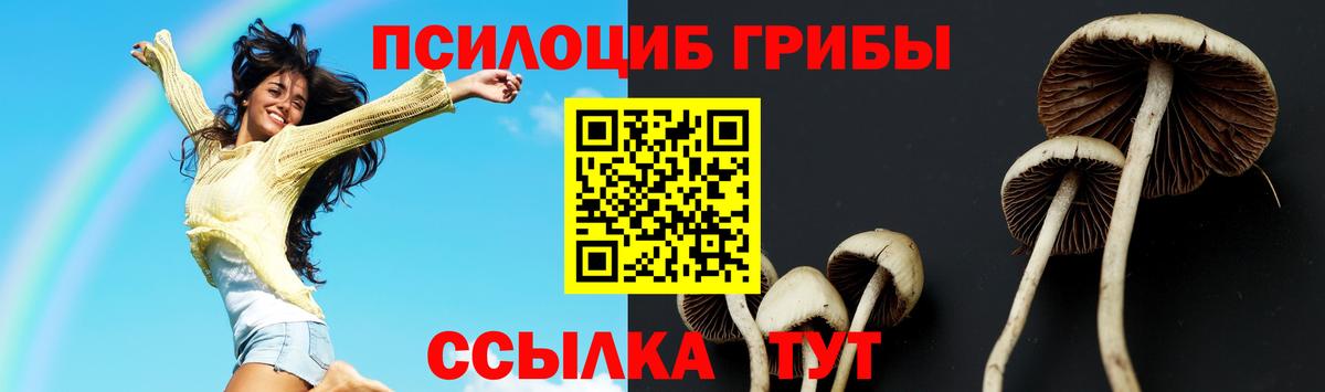 Орехово-Зуево  Галлюциногенные грибы прущие грибы  Псилоцибиновые грибы мицелий  Вход с VPN 